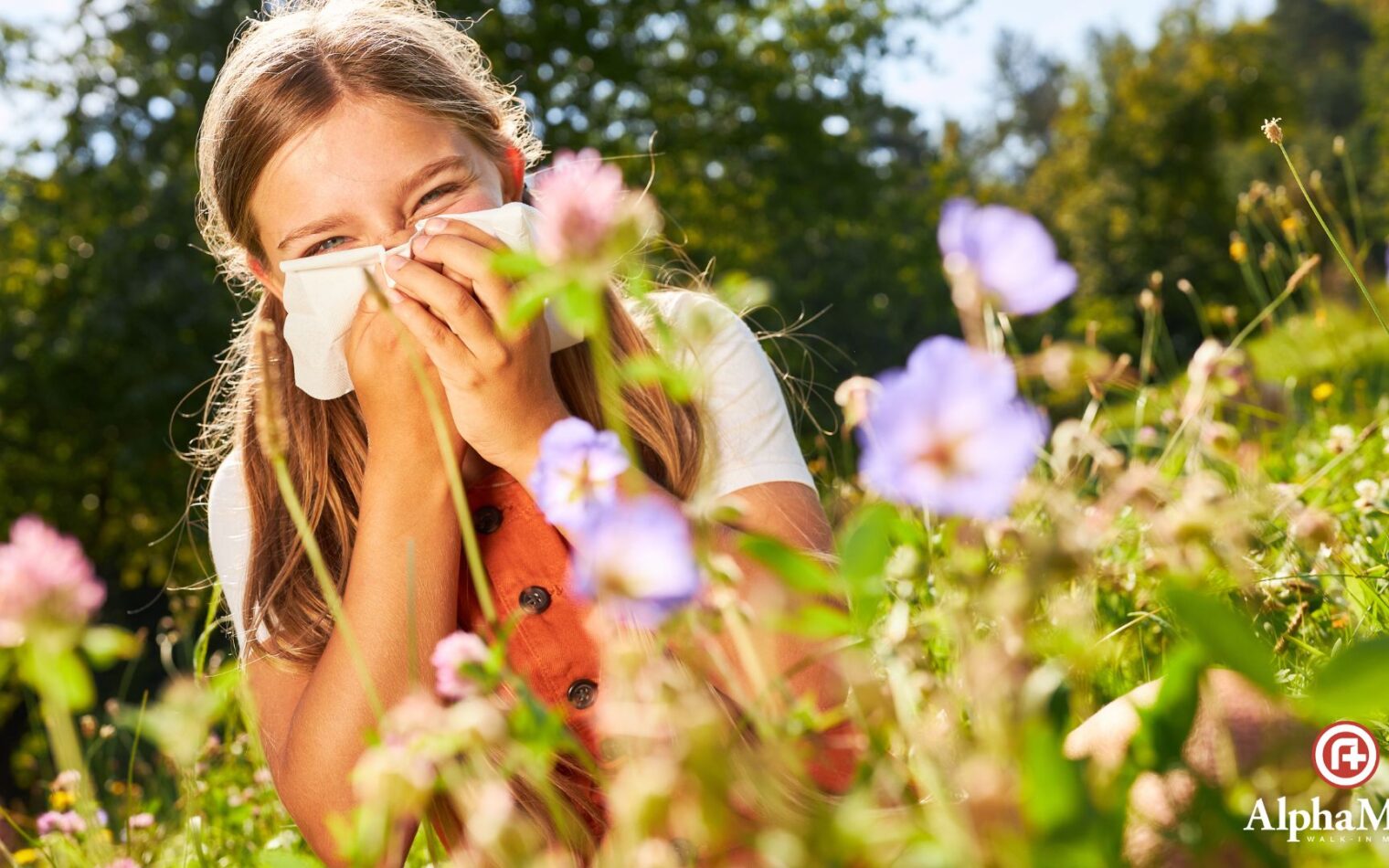 Understanding Seasonal Allergies