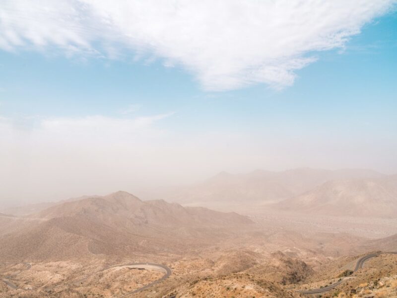 Arizona Allergy Season is Here!