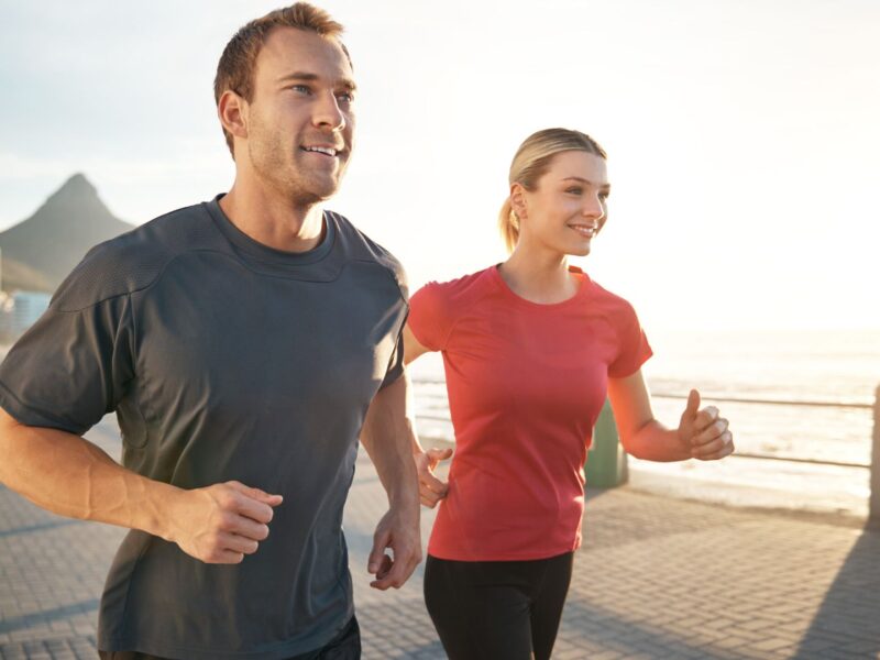 Holiday Survival Guide